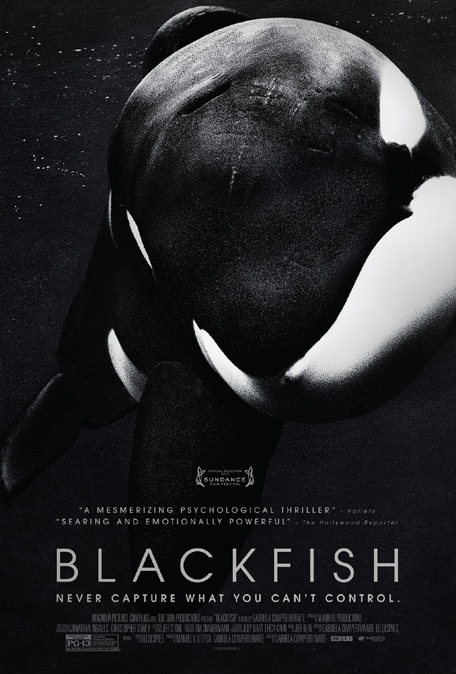 The movie poster for Sundance hit Blackfish from Gabriela Cowperthwaite