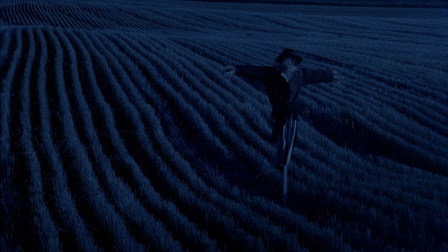 Days of Heaven will be screened as part of the Music Box’s Terrence Malick retrospective.