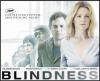 Blindness with Julianne Moore, Mark Ruffalo and Danny Glover