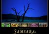 Samsara movie poster
